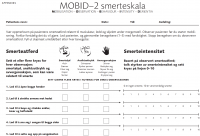 Kartleggingsverktøy - en modul i e-kurs på Kompetansebroen