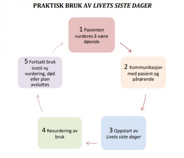 "Livets Siste Dager - Plan For Lindring I Livets Sluttfase" • En Modul ...