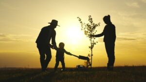 Mor, far og barn planter ett tre i solnedgang Foto: Shutterstock