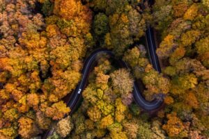 Flyfoto av svingete veien i vakre høstskogen. Foto: Shutterstock